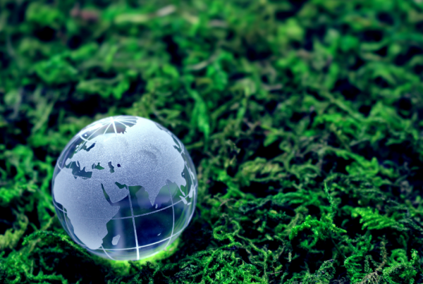 the-climate-reality-project-brasil-and-centro-brasil-no-clima-participate-in-a-live-on-climate-change-in-the-second-phase-of-the-educ-project