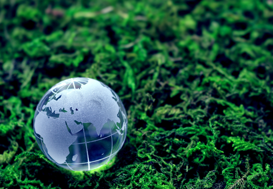 the-climate-reality-project-brasil-and-centro-brasil-no-clima-participate-in-a-live-on-climate-change-in-the-second-phase-of-the-educ-project