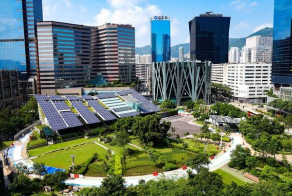 we-dream-of-a-brazil-that-arrived-in-2045-as-negative-carbon-says-guilherme-syrkis-director-of-centro-brasil-no-clima