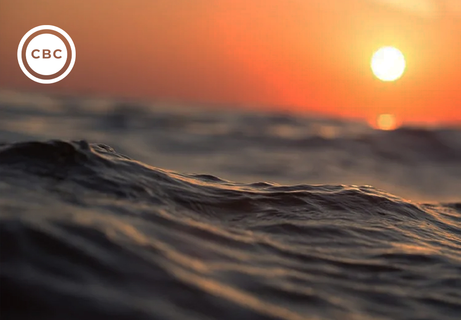 cbc_world-ocean-assessment