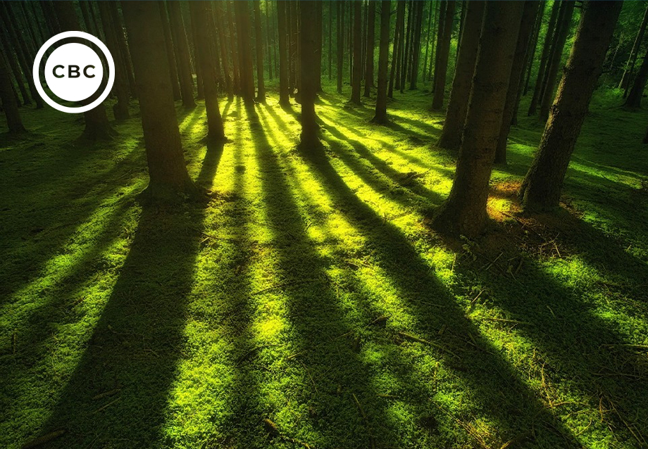 cbc_neutralidade-climatica