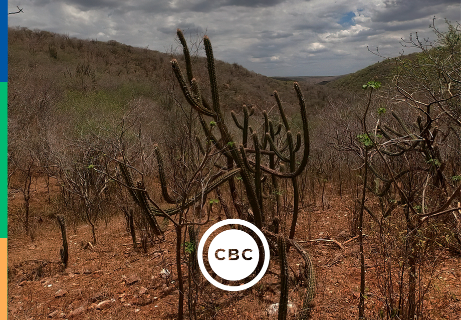 cbc_15-06_premio-caatinga