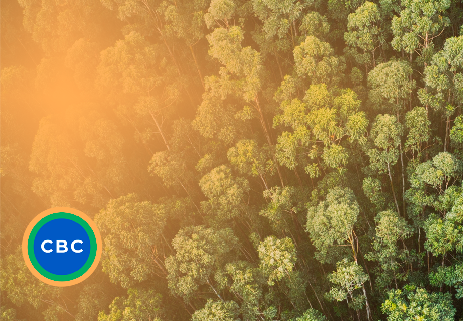 cbc_a-retomada-economica-verde