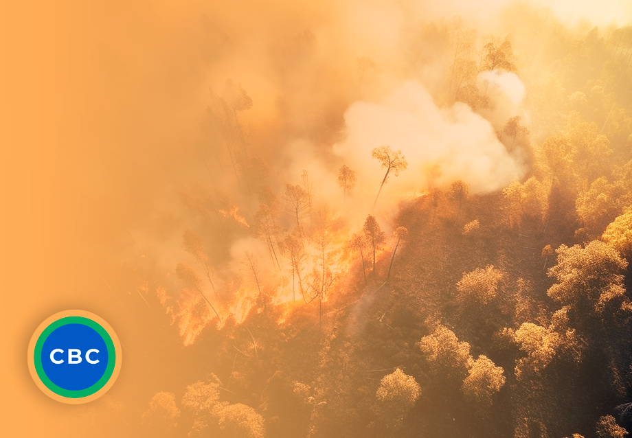 cbc_amazonia-em-debate