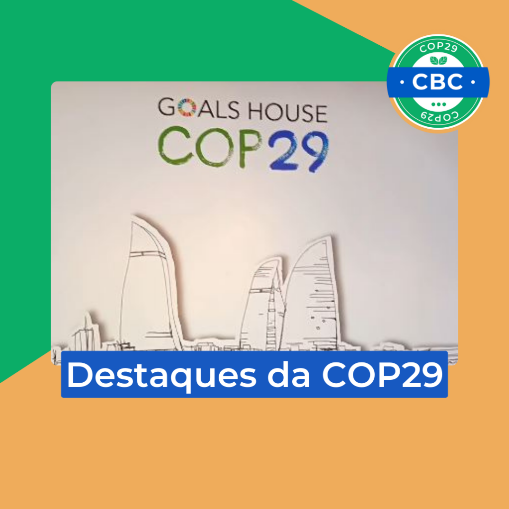 destaque-da-cop29