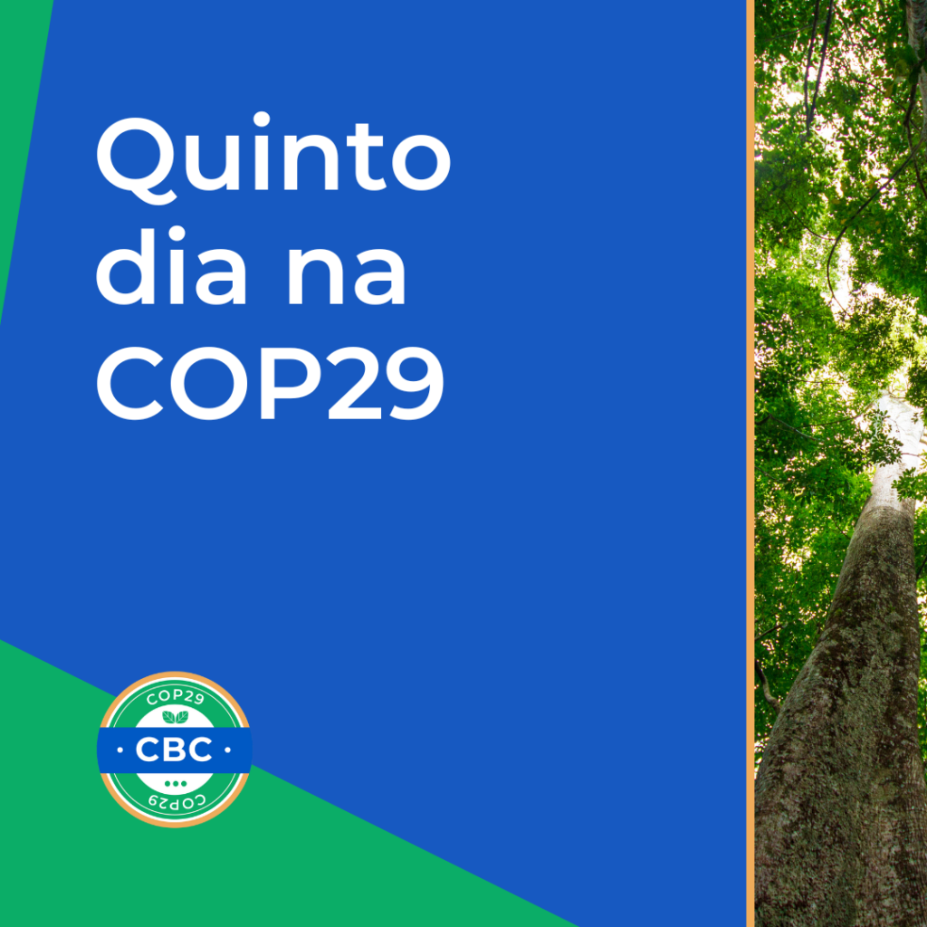 quinto-dia-cop29_01