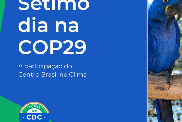 setimo-dia-cop29_cbc_william-wills-01